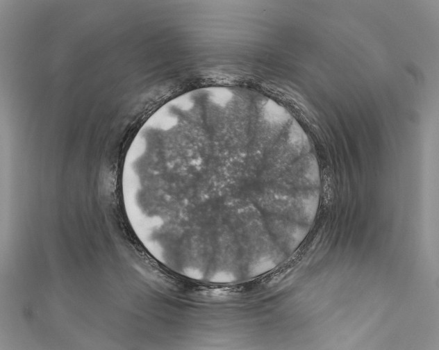 X0000110700365200907241129