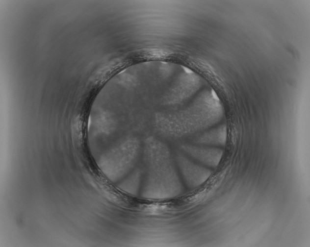 X0000110700366200907241130