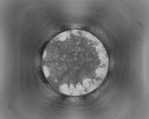 X0000110700367200907241130