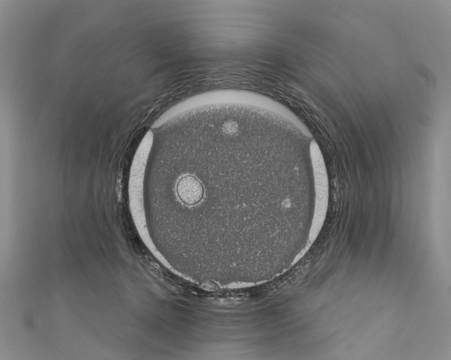 X0000110700368200907241130