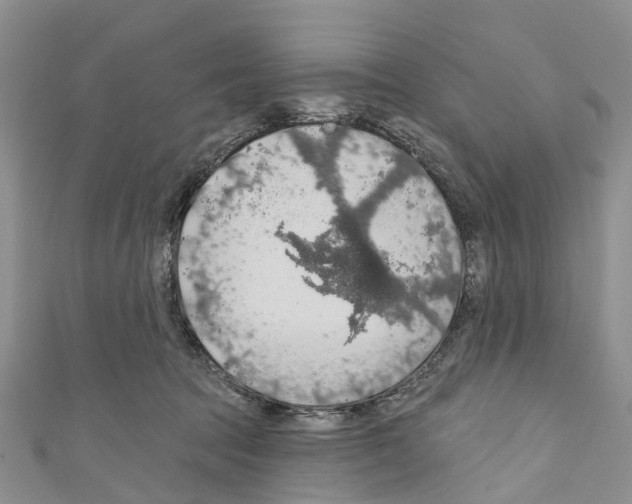 X0000110700369200907241130