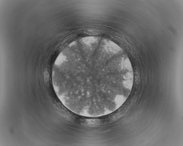 X0000110700371200907241130