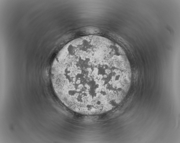 X0000110700373200907241130