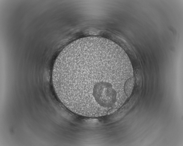 X0000110700374200907241130