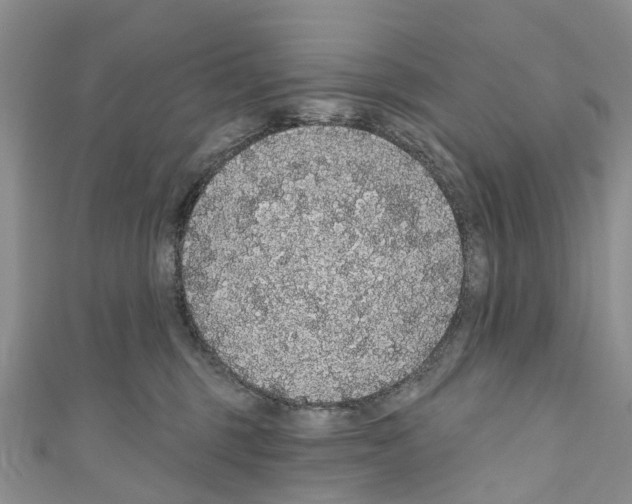 X0000110700375200907241130