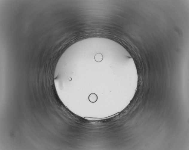X0000110700376200907241130