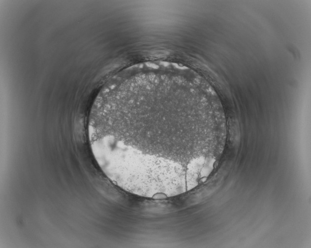 X0000110700378200907241130