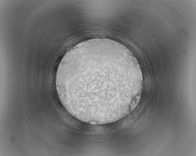 X0000110700379200907241130