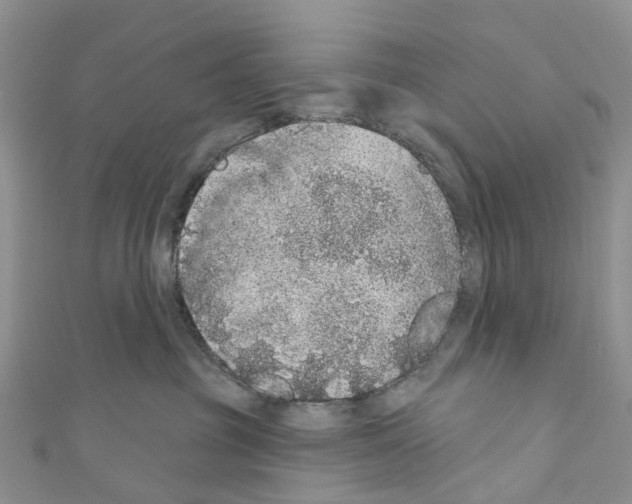 X0000110700381200907241130
