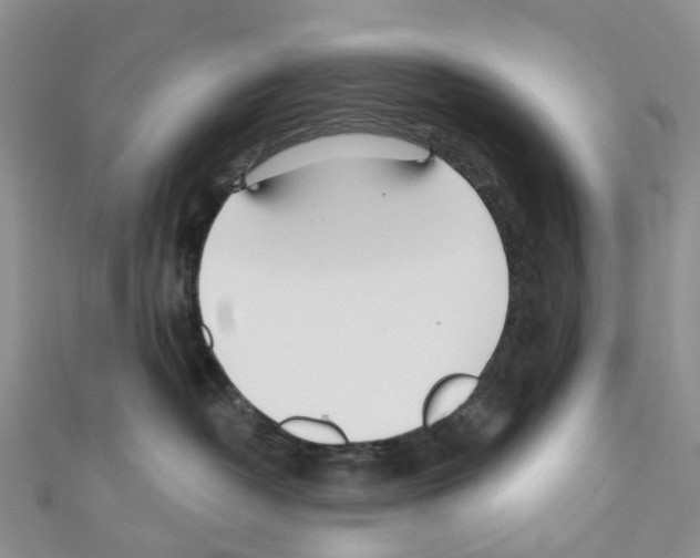 X0000110700382200907241130