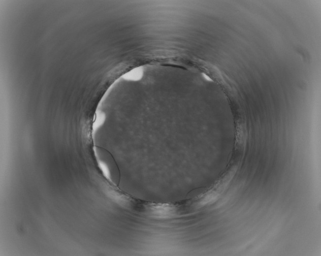 X0000110700383200907241130