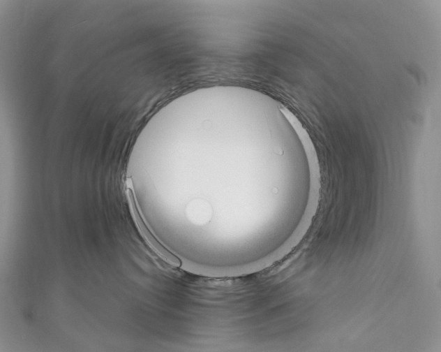 X0000110700384200907241130