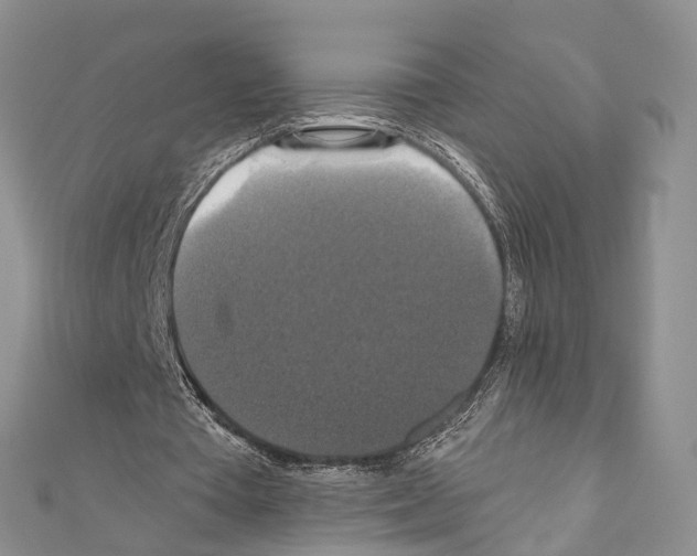 X0000110700385200907241129