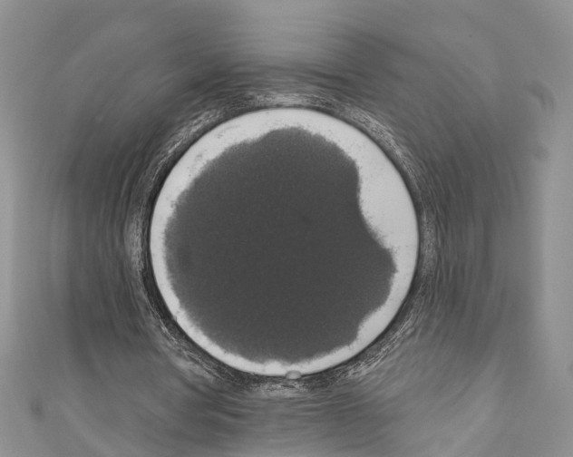 X0000110700386200907241129