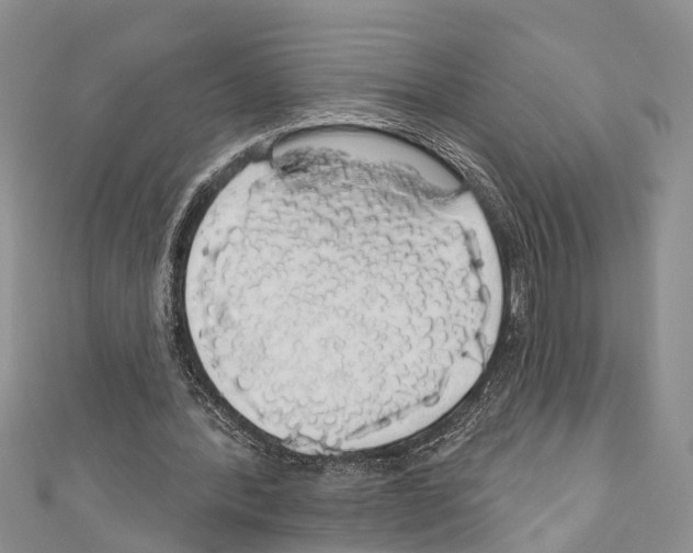 X0000110700388200907241129