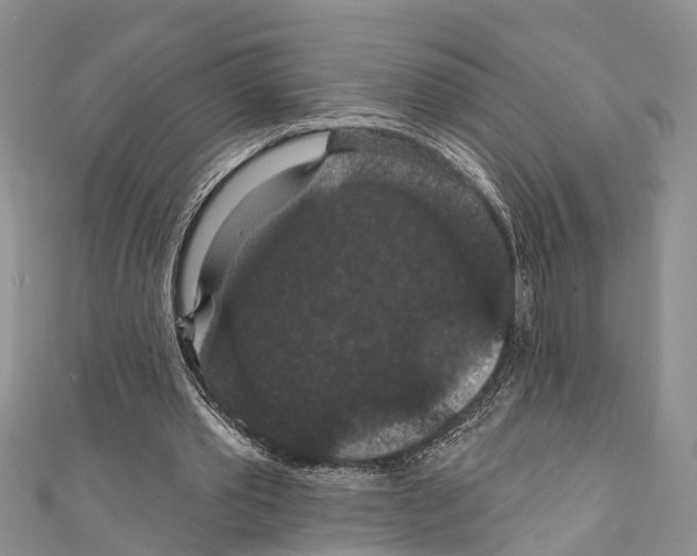 X0000110700389200907241129