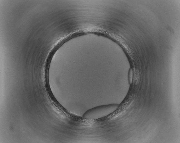 X0000110700391200907241129