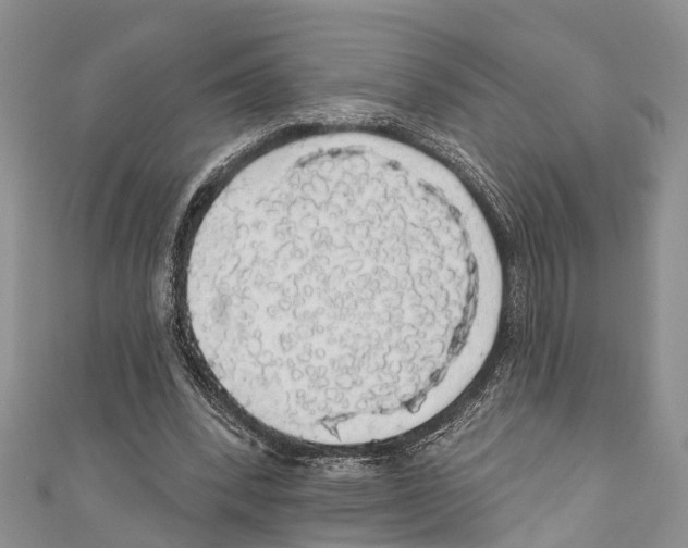 X0000110700392200907241129