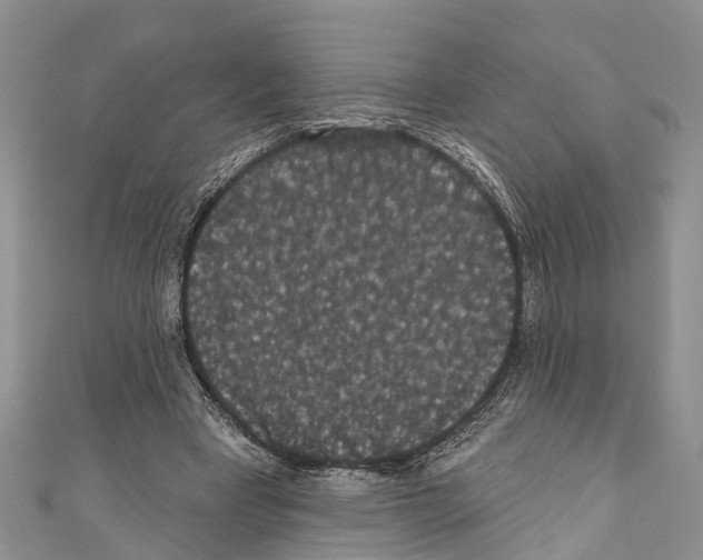 X0000110700393200907241129