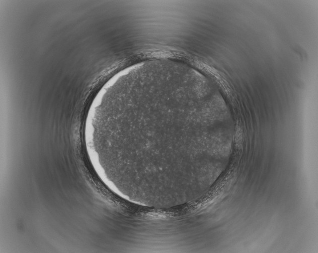 X0000110700394200907241129