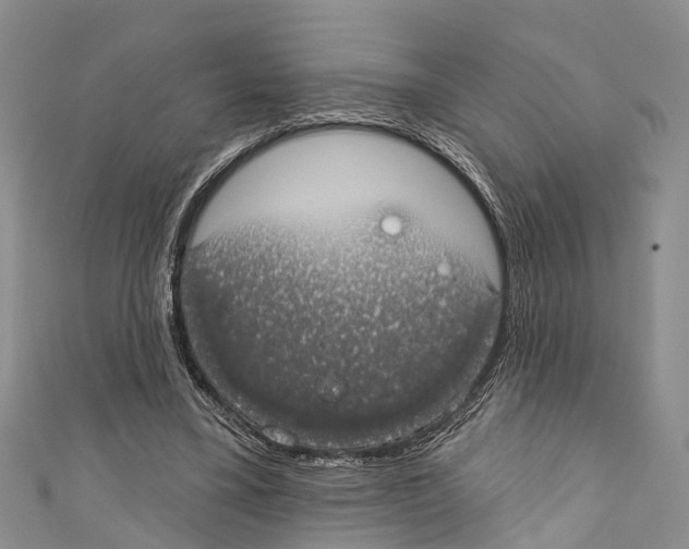 X0000110700395200907241129