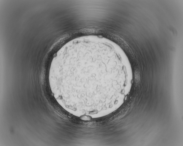 X0000110700396200907241129