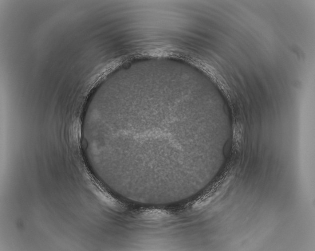 X0000110700397200907241129