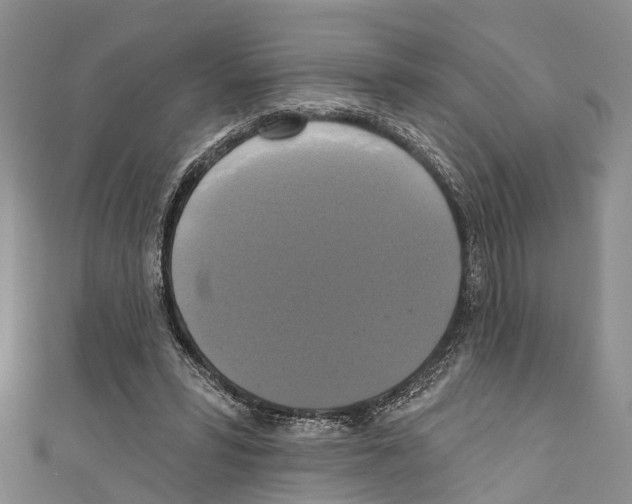 X0000110700399200907241129