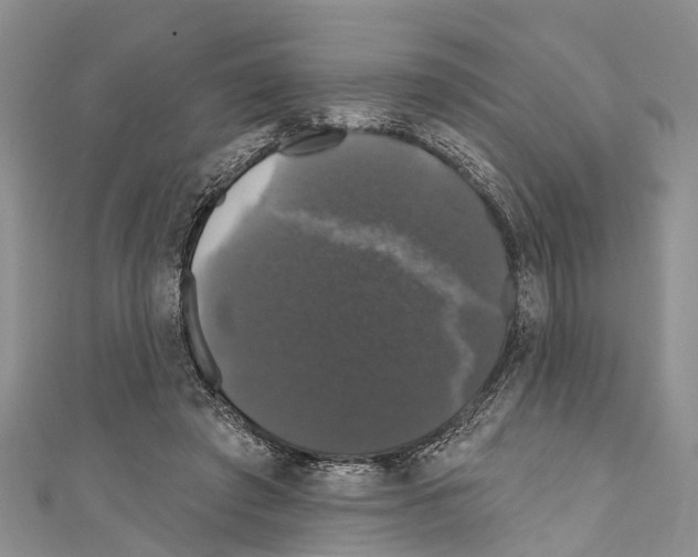 X0000110700401200907241129