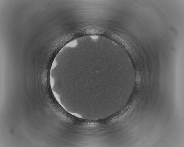 X0000110700402200907241129
