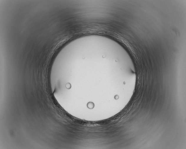 X0000110700403200907241129