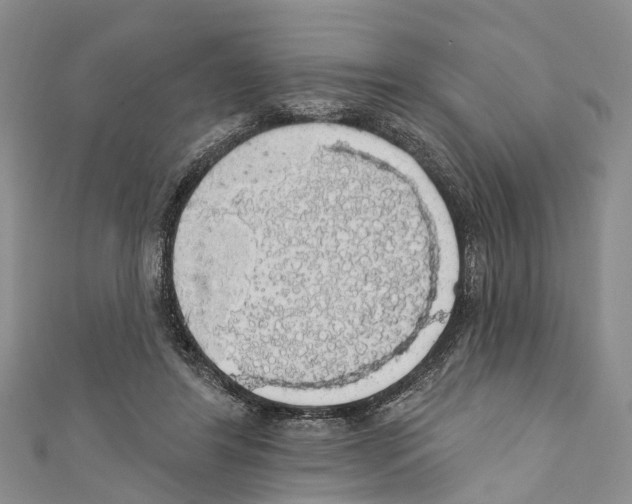 X0000110700404200907241129