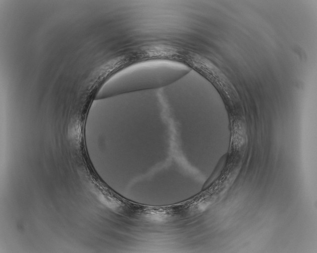 X0000110700405200907241129