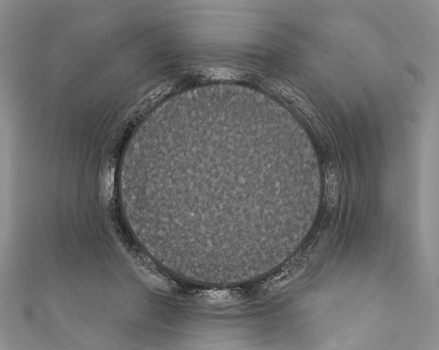 X0000110700406200907241129