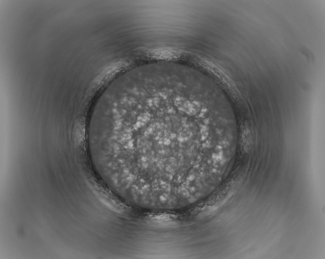 X0000110700407200907241129