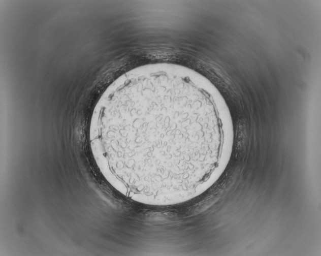 X0000110700408200907241129