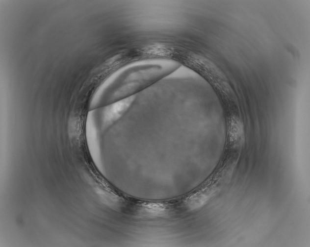 X0000110700409200907241129