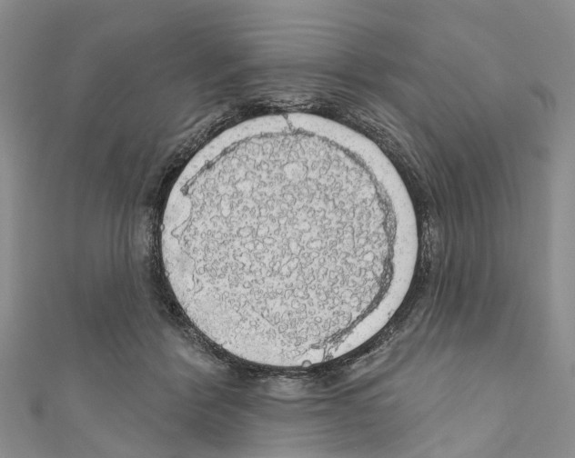 X0000110700412200907241129