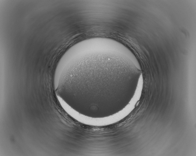 X0000110700413200907241129