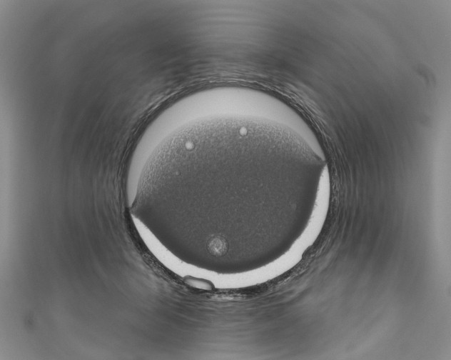 X0000110700415200907241129