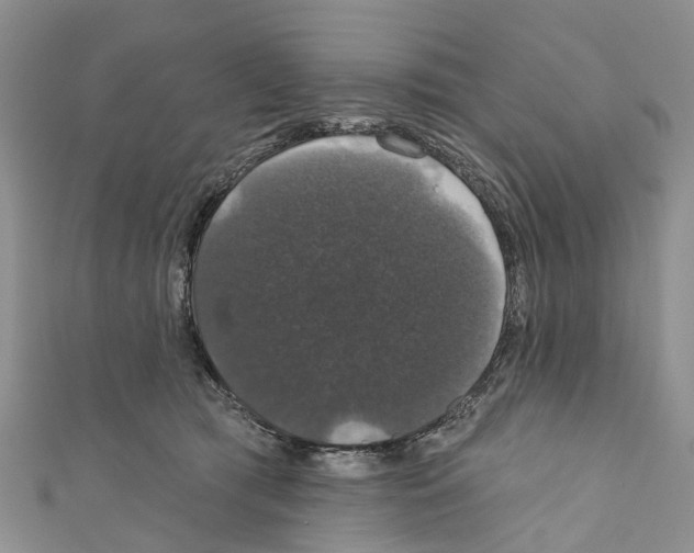 X0000110700417200907241129
