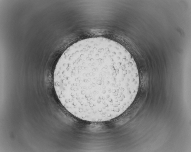 X0000110700418200907241129