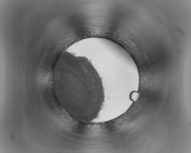 X0000110700419200907241129