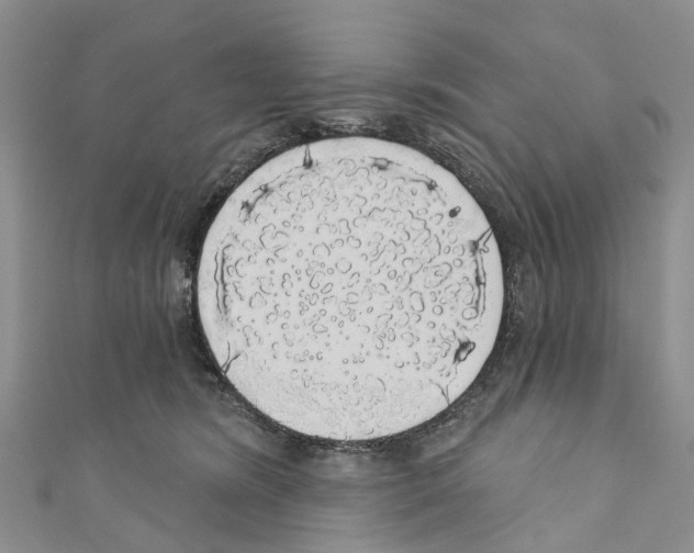 X0000110700420200907241129