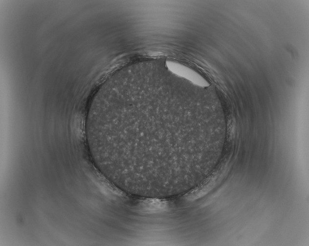 X0000110700421200907241129