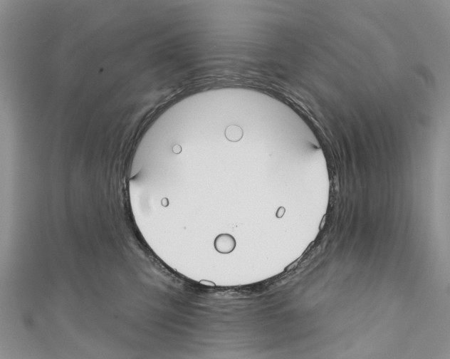X0000110700423200907241129
