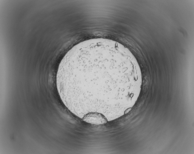X0000110700424200907241129