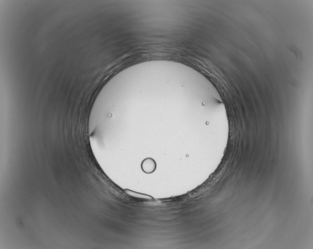 X0000110700425200907241129