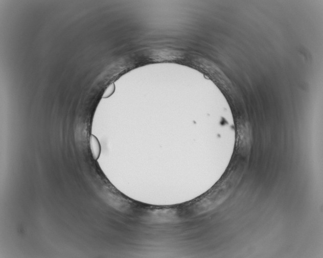 X0000110700426200907241129