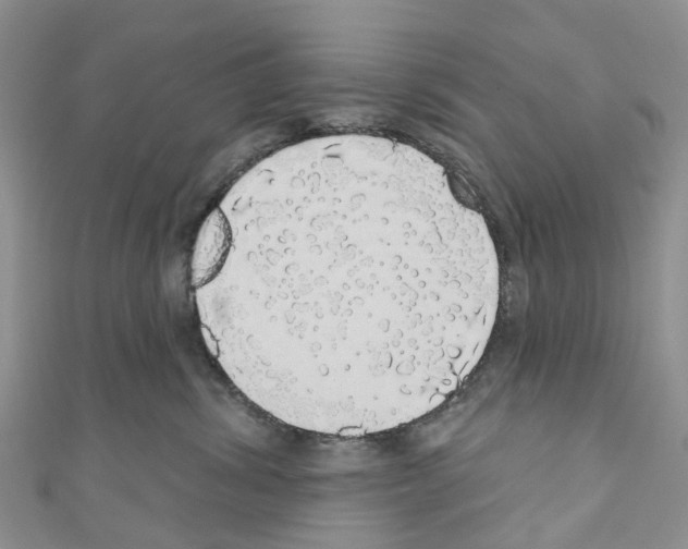 X0000110700428200907241129